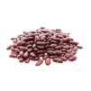 pinto beans